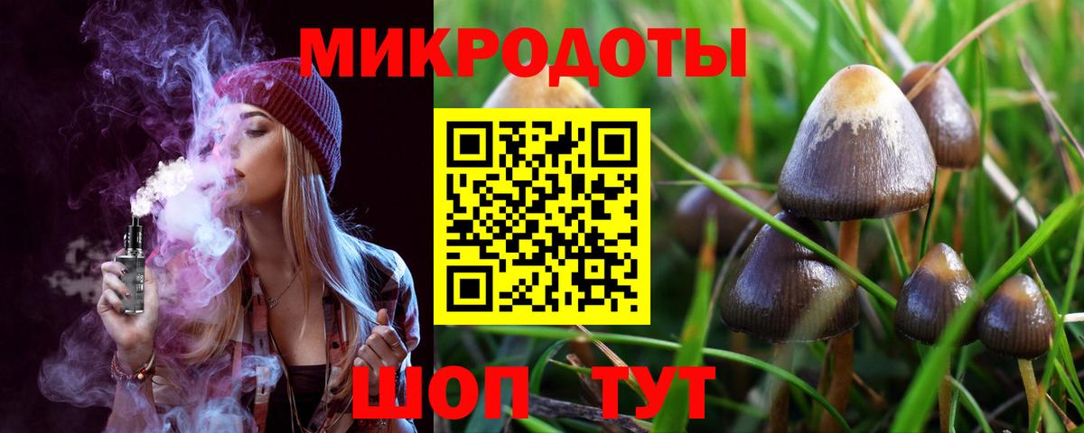 Галлюциногенные грибы мухоморы  Вход с VPN  Кимовск  Псилоцибиновые грибы прущие грибы 
